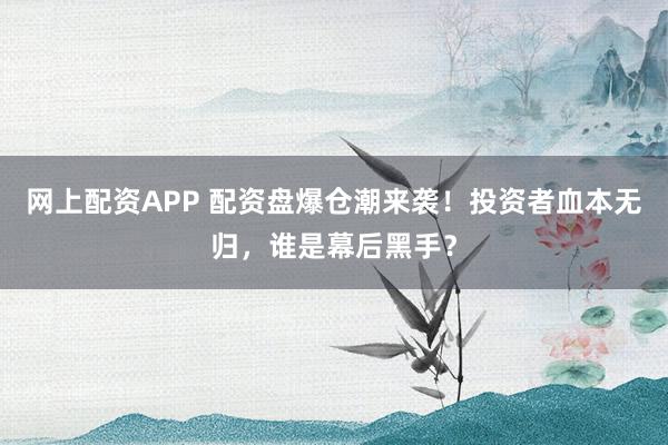 網上配資APP 配資盤爆倉潮來襲！投資者血本無歸，誰是幕后黑手？